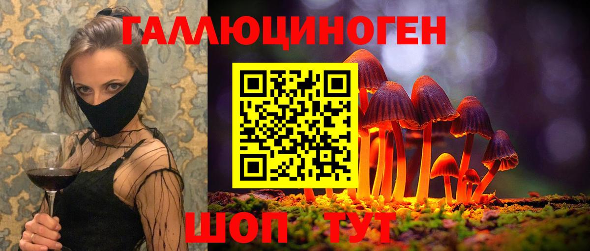Калининград  Псилоцибиновые грибы ЛСД  Вход с VPN  Псилоцибиновые грибы Psilocybine cubensis 