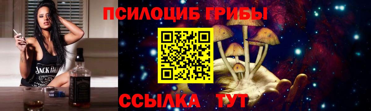Галлюциногенные грибы Cubensis Калининград